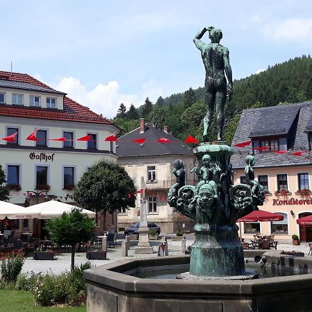 Gasthof Hillig Bad Gottleuba Kültér fotó