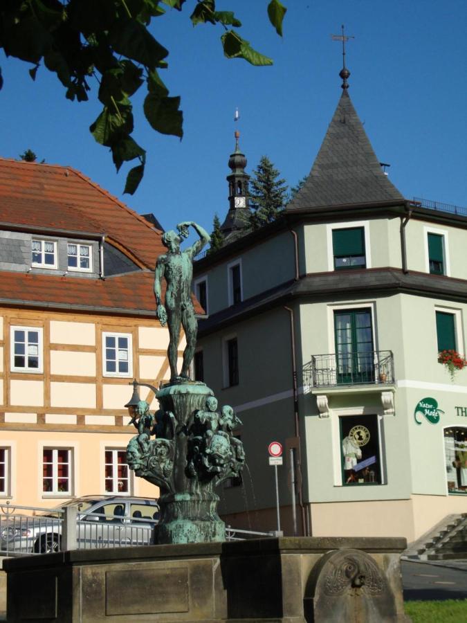 Gasthof Hillig Bad Gottleuba Kültér fotó