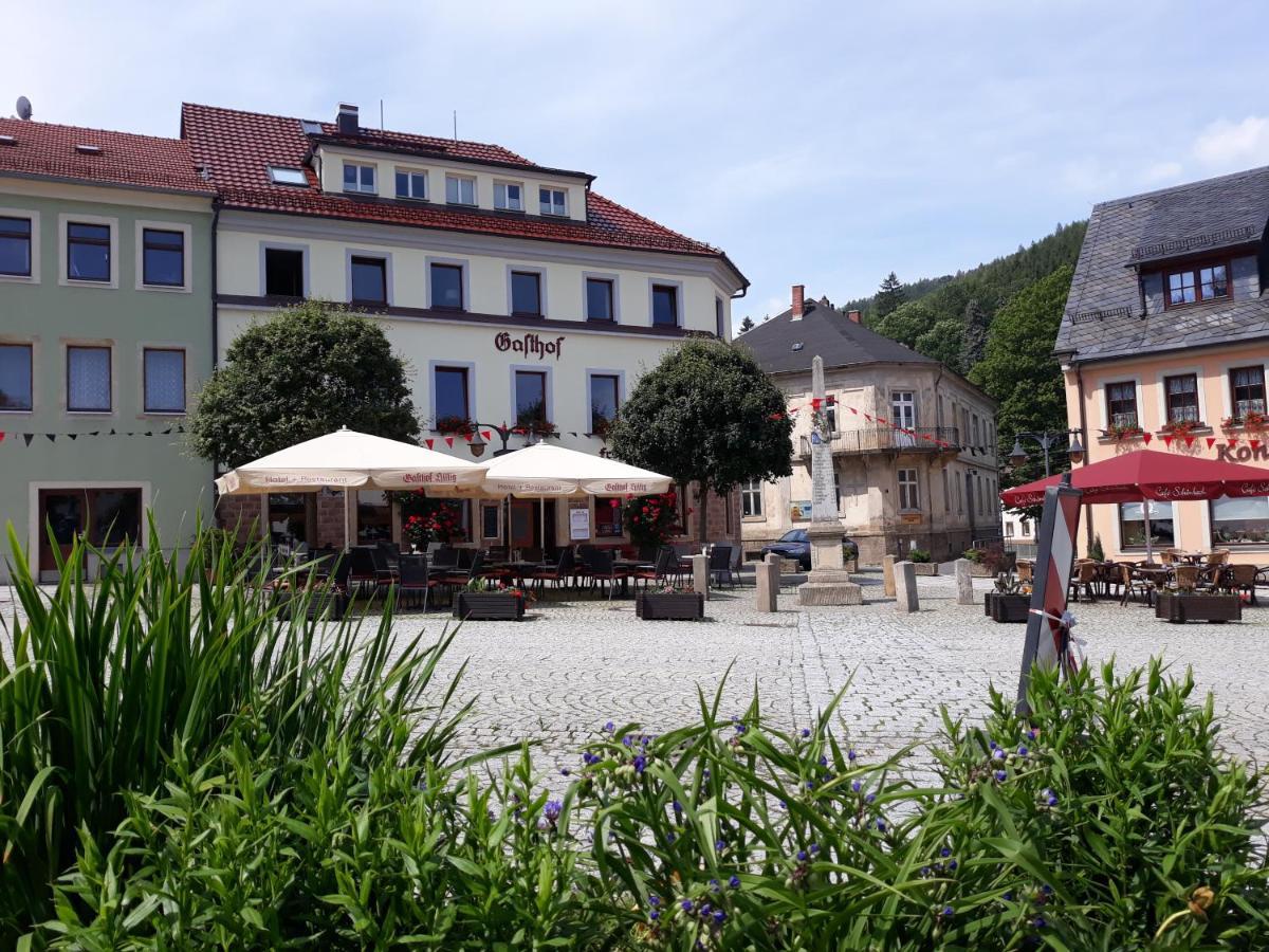 Gasthof Hillig Bad Gottleuba Kültér fotó