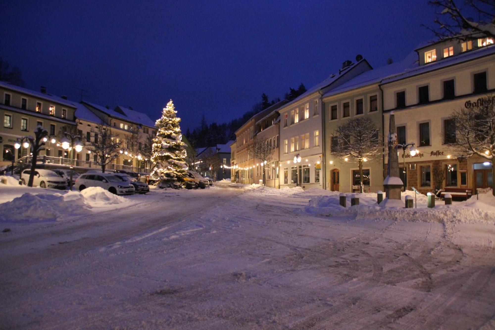 Gasthof Hillig Bad Gottleuba Kültér fotó